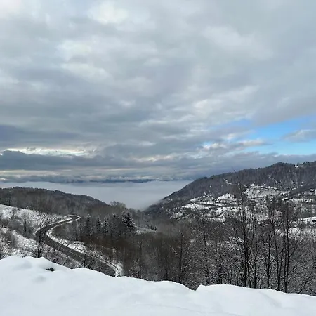 Milmari & - N Lux 108 카파오닉